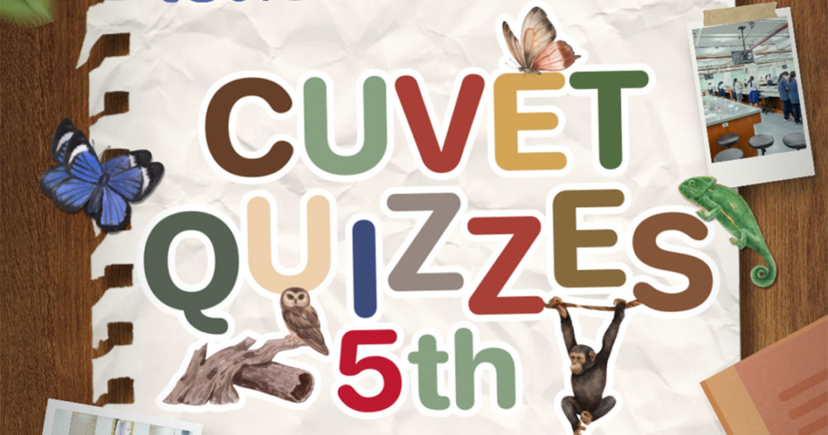 CUVETquizzes ครั้งที่ 5